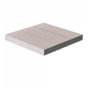 PP-1 modelis