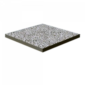 pt-1 modelis