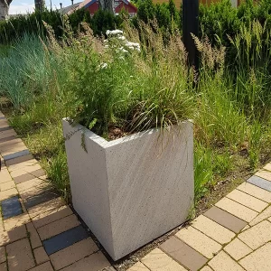 lauko siuksliadeze S-BASIC slifuota 3