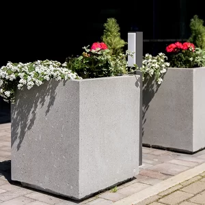 lauko siuksliadeze S-BASIC slifuota