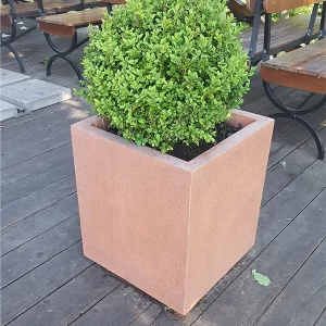 lauko siuksliadeze S-BASIC spalvota 2